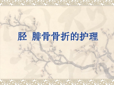 胫腓 骨骨折的护理