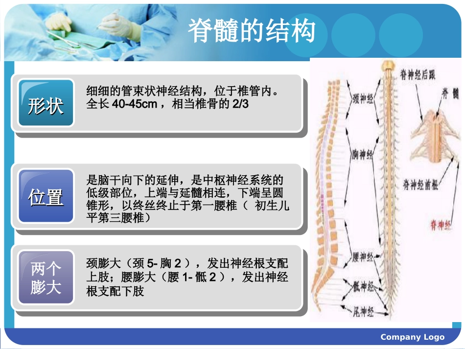 脊髓损伤护理查房 (2)_第4页