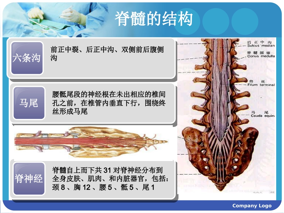 脊髓损伤护理查房 (2)_第5页