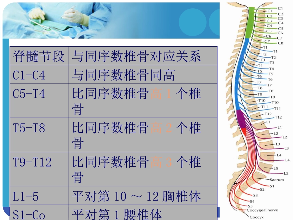 脊髓损伤护理查房 (2)_第6页