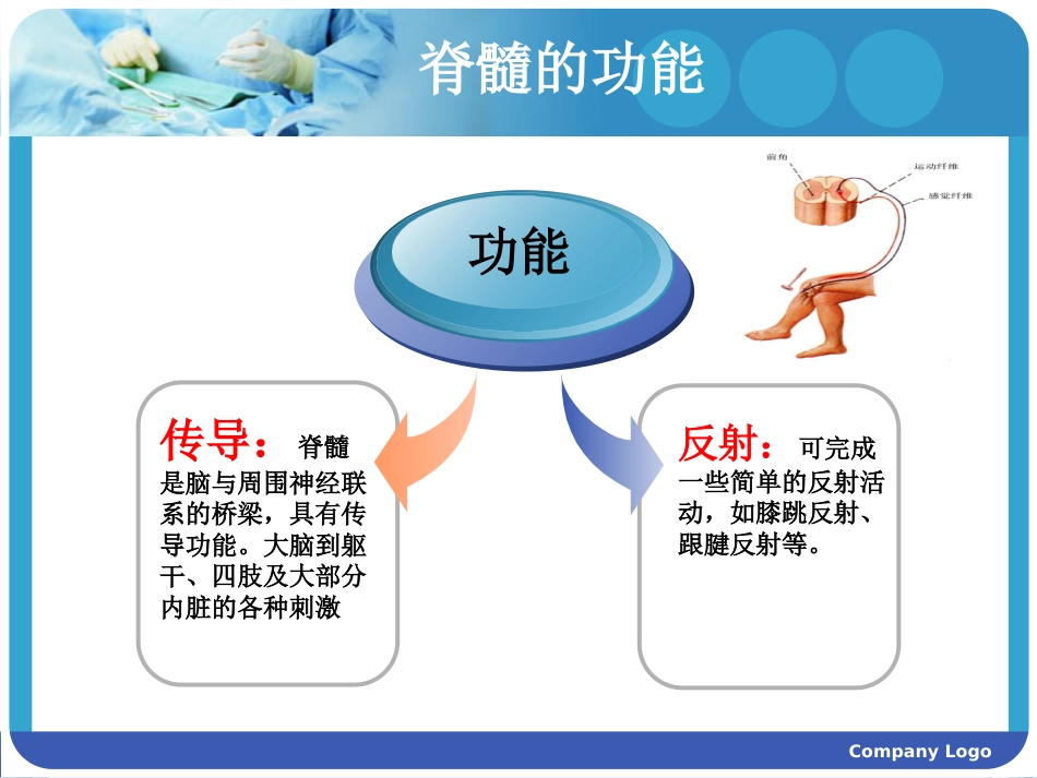 脊髓损伤护理查房 (2)_第7页