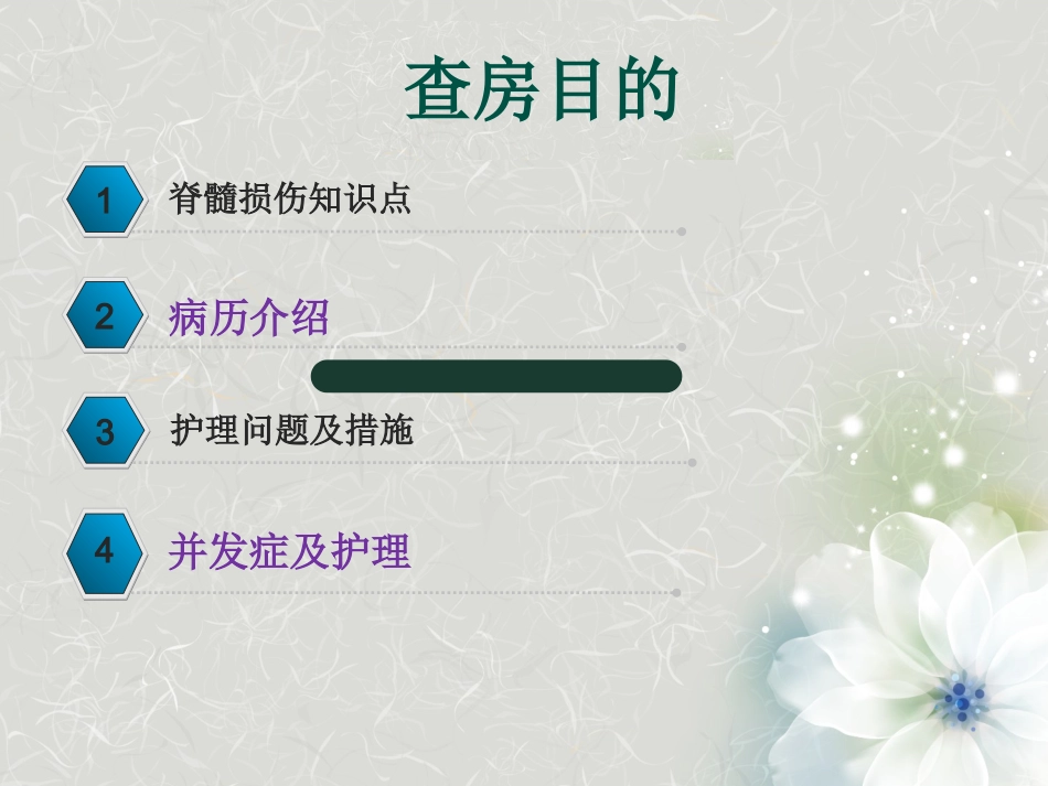 脊髓损伤护理查房 (3)_第2页