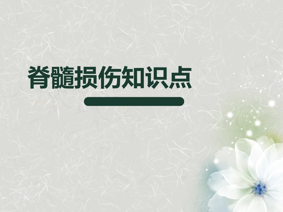 脊髓损伤护理查房 (3)_第3页