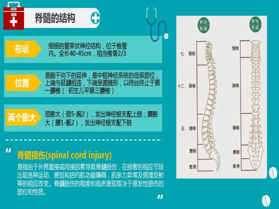 脊髓损伤护理查房 (3)_第4页
