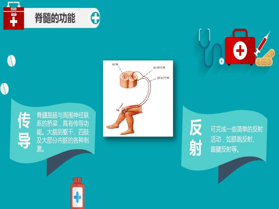 脊髓损伤护理查房 (3)_第5页