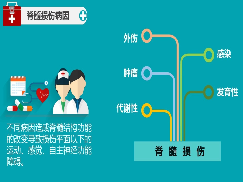 脊髓损伤护理查房 (3)_第6页