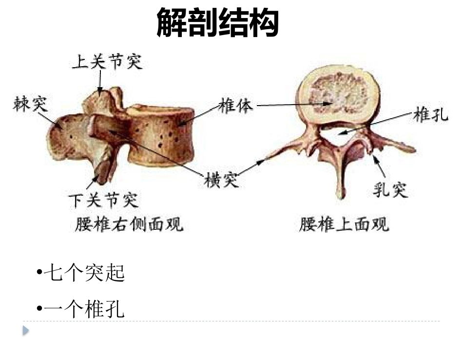 腰椎骨折 患者的护理PPT_第3页