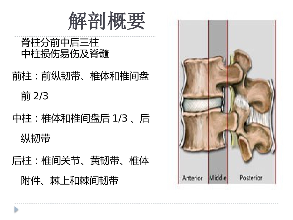 腰椎骨折 患者的护理PPT_第4页