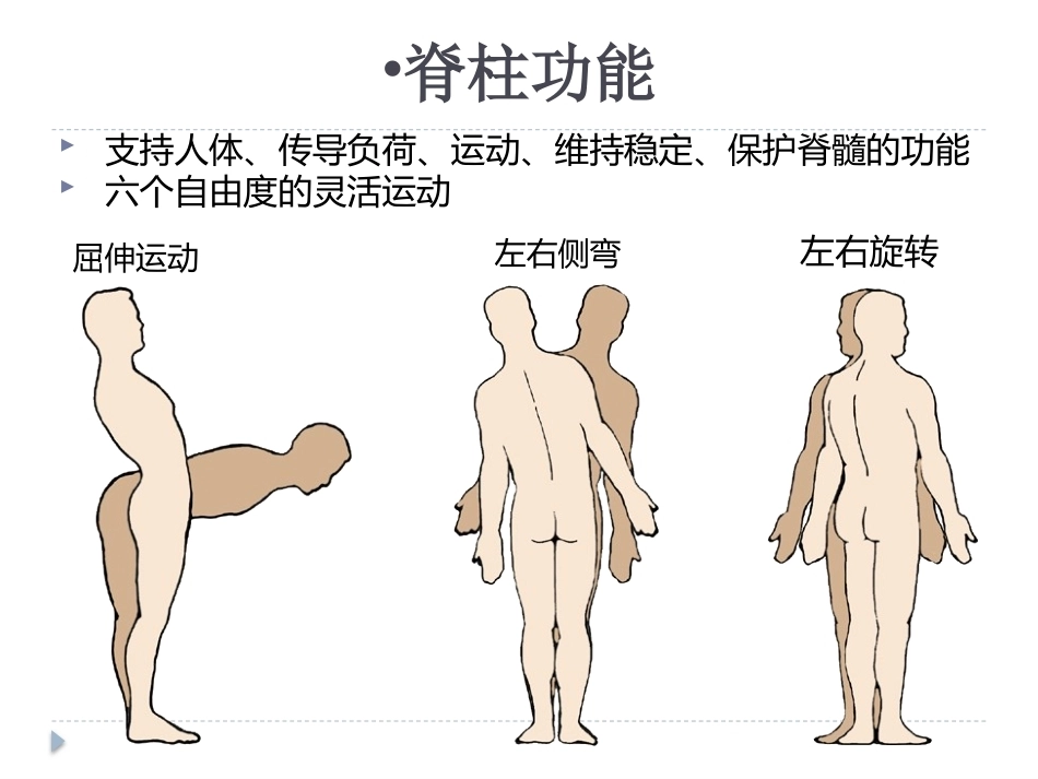 腰椎骨折 患者的护理PPT_第5页