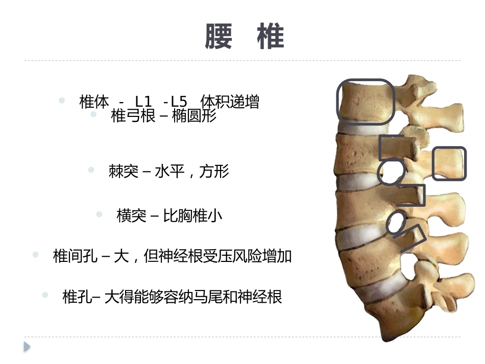 腰椎骨折 患者的护理PPT_第6页