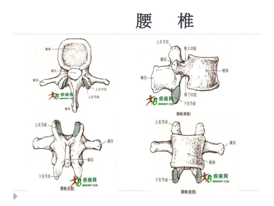 腰椎骨折 患者的护理PPT_第7页