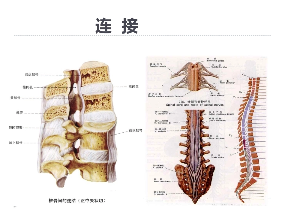 腰椎骨折 患者的护理PPT_第8页