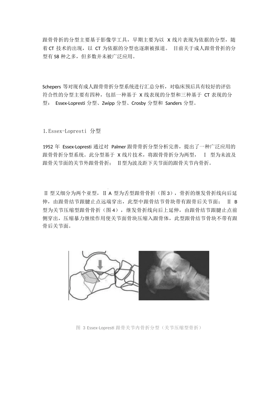 跟骨骨折的影像学检查与分型_第4页