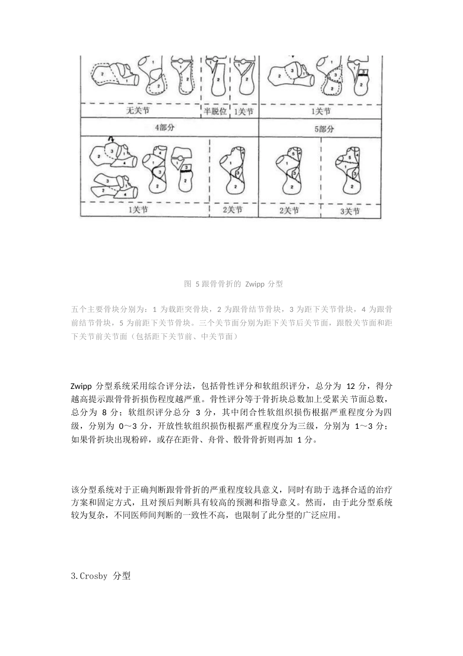 跟骨骨折的影像学检查与分型_第6页