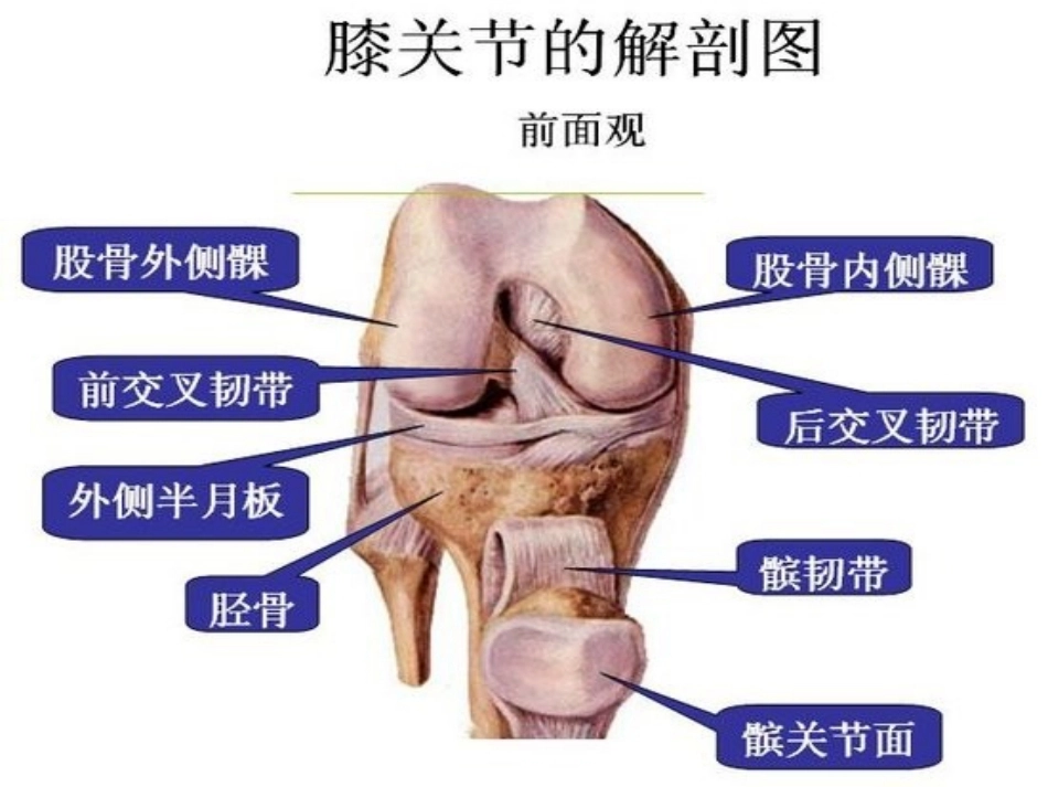 膝关节镜下前交叉韧 带重建术手术配合_第6页