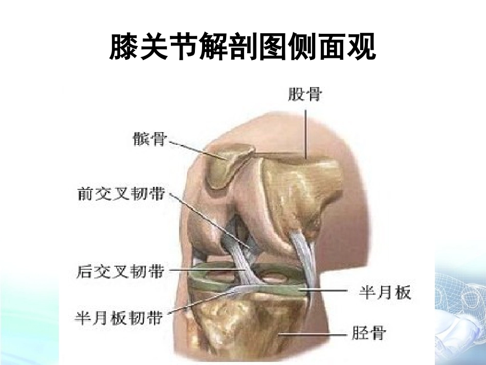 膝关节镜下前交叉韧 带重建术手术配合_第7页