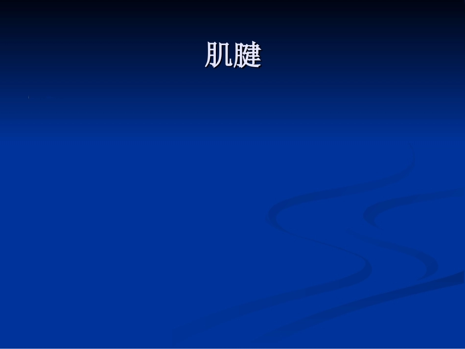 踝关节的MR诊断和解剖_第10页