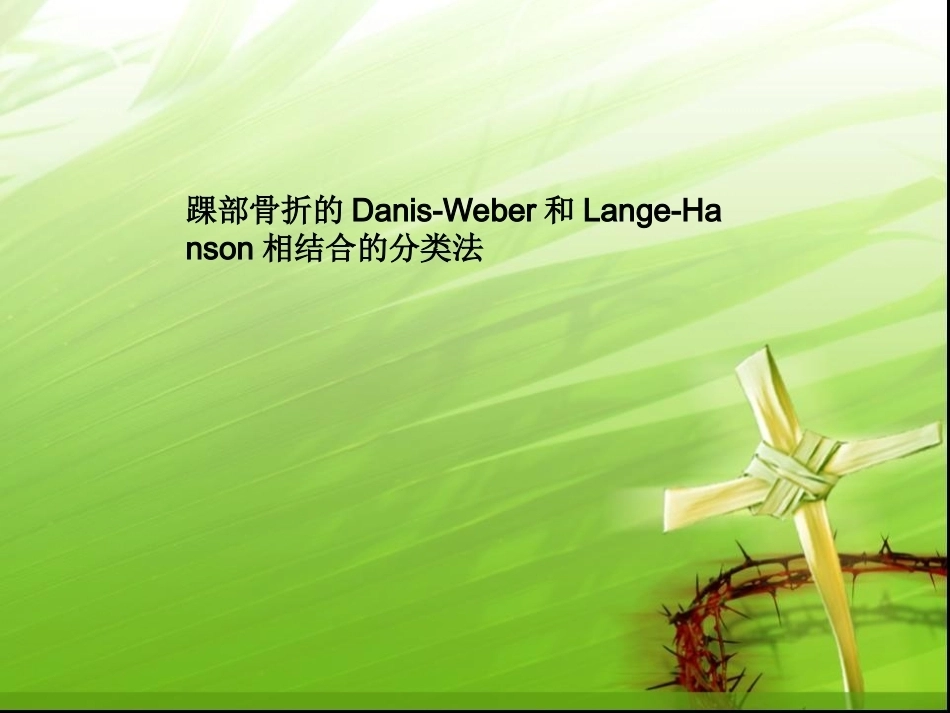 踝关节骨折的分型---讲课用_第1页