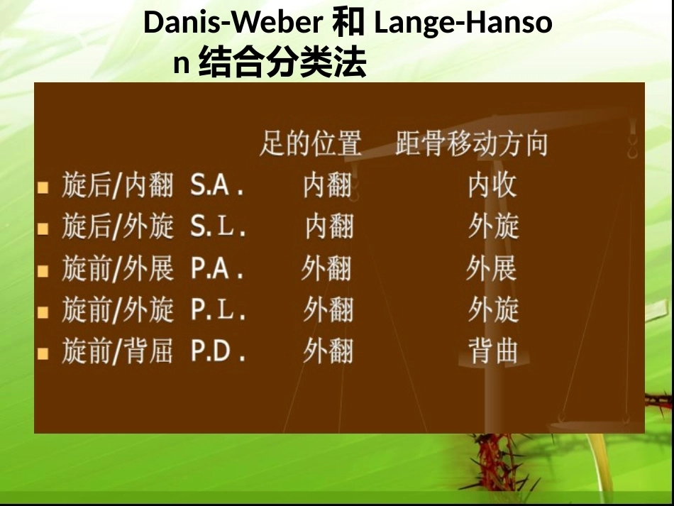 踝关节骨折的分型---讲课用_第10页