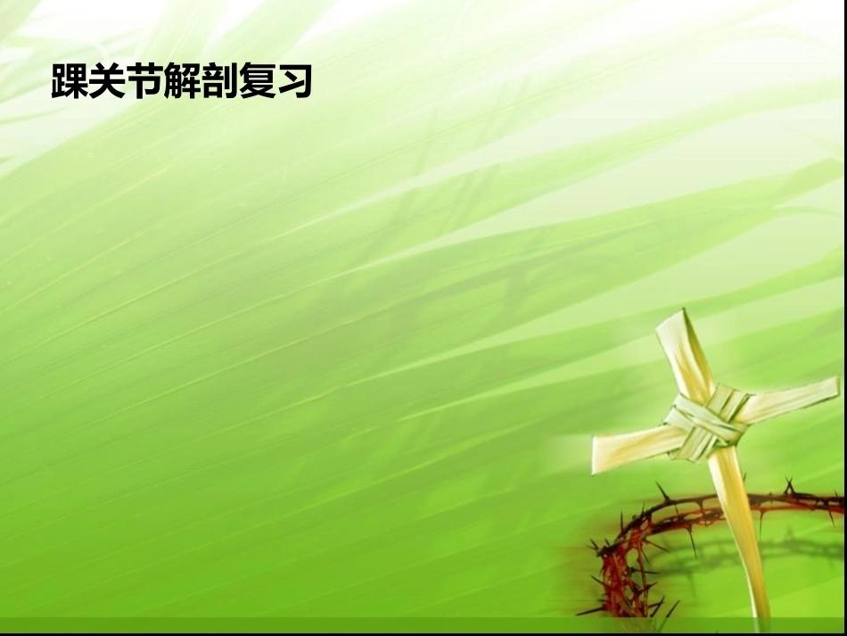 踝关节骨折的分型---讲课用_第2页