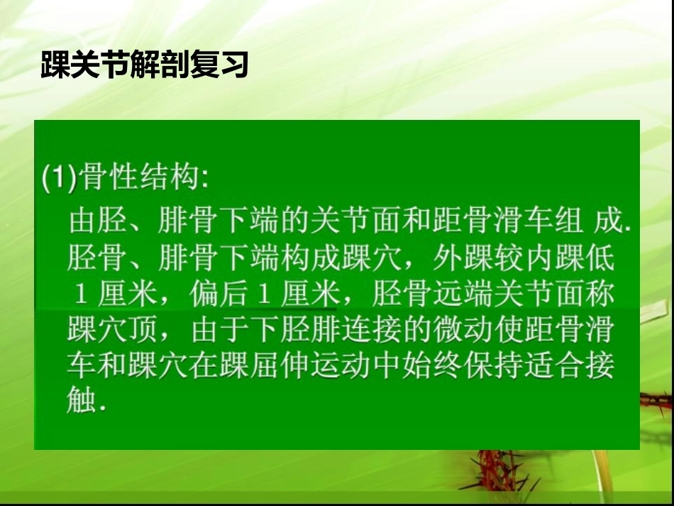 踝关节骨折的分型---讲课用_第3页