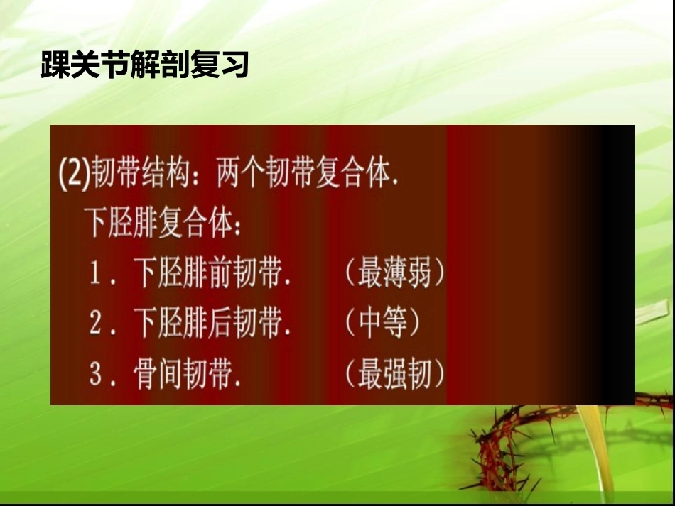 踝关节骨折的分型---讲课用_第4页