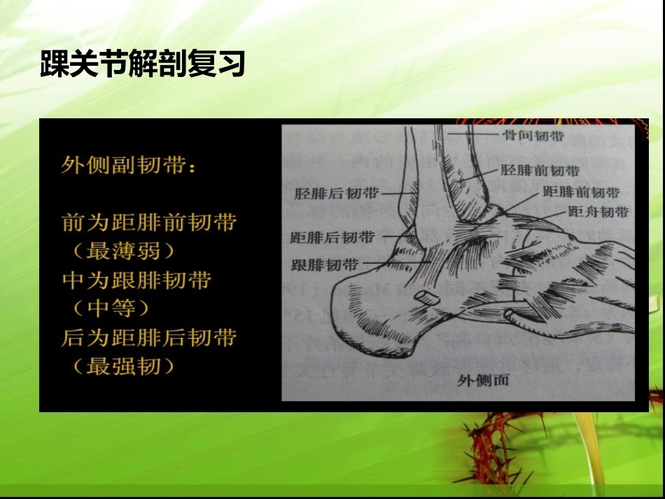 踝关节骨折的分型---讲课用_第5页