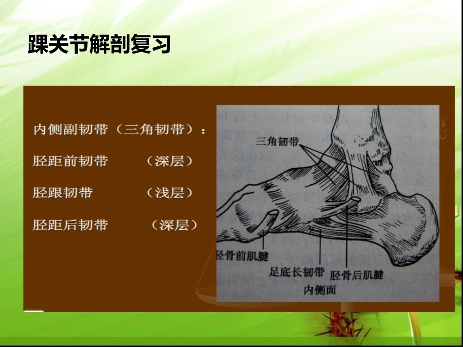 踝关节骨折的分型---讲课用_第6页