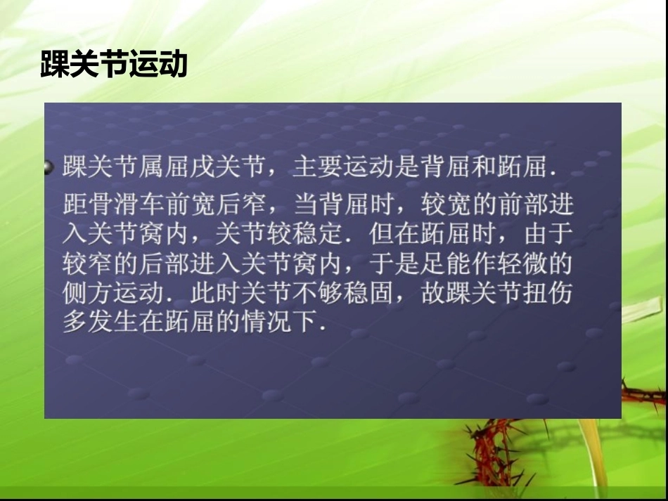 踝关节骨折的分型---讲课用_第7页