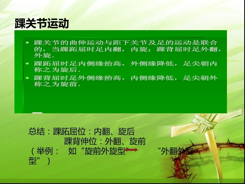 踝关节骨折的分型---讲课用_第8页