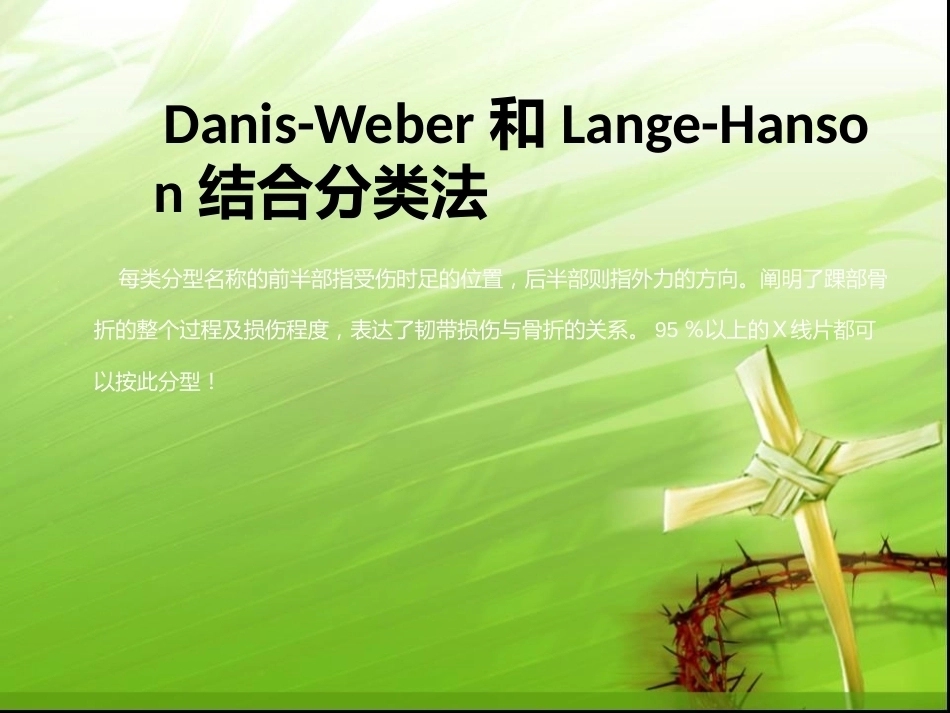 踝关节骨折的分型---讲课用_第9页