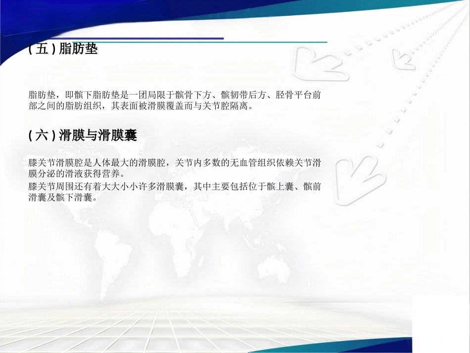 膝关节解 剖及关节镜手术_第8页