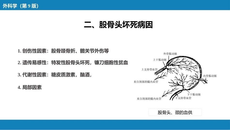 股骨 头坏死_第5页