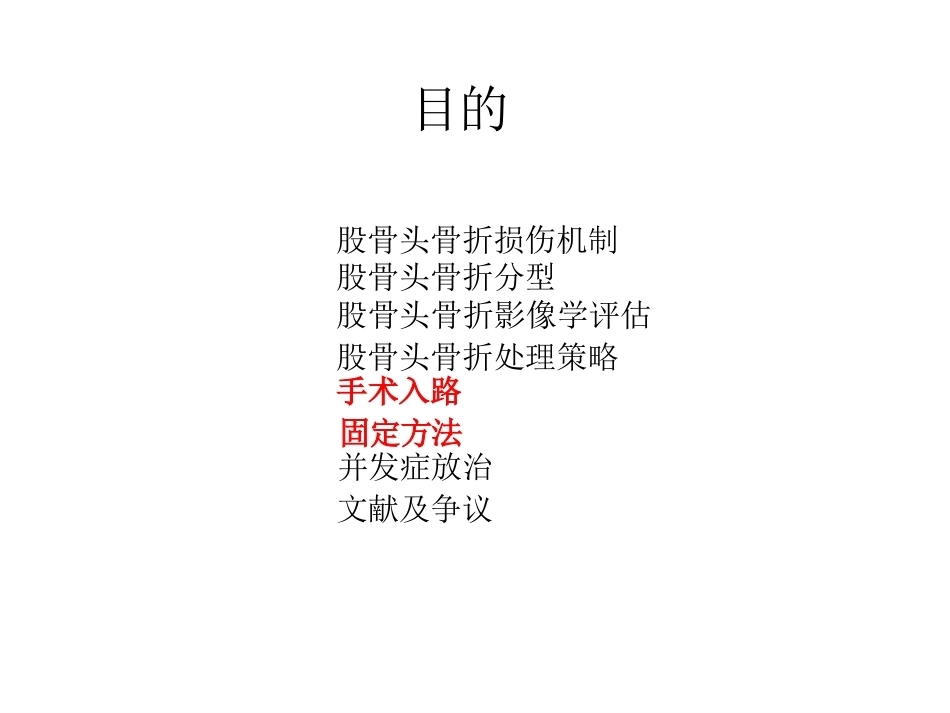 股骨头骨折入路选择_第2页