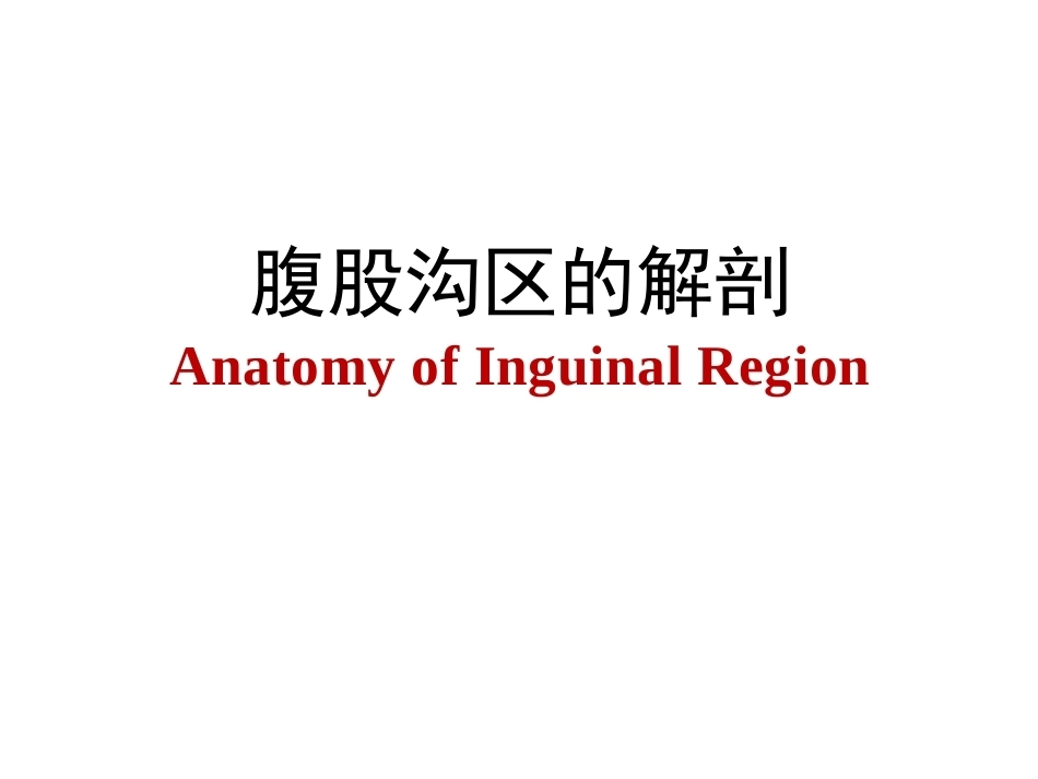 骨盆周围 解剖_第9页