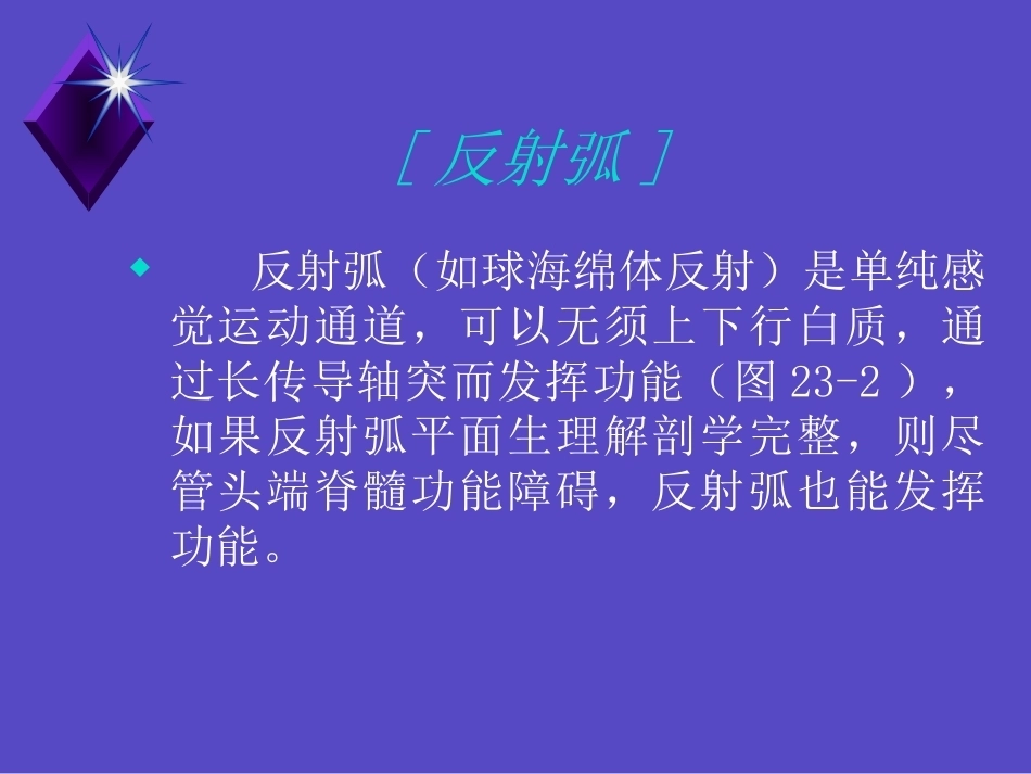 胸腰椎骨折的诊 断和治疗_第14页