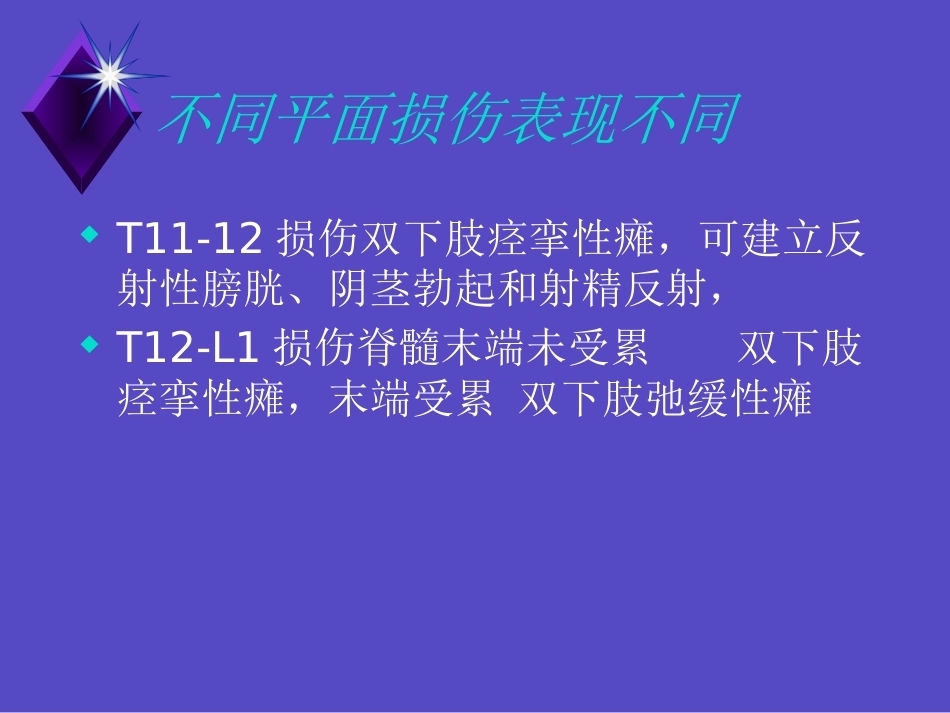 胸腰椎骨折的诊 断和治疗_第3页