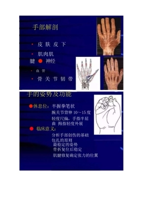 手外伤的常见处理 策略及要点