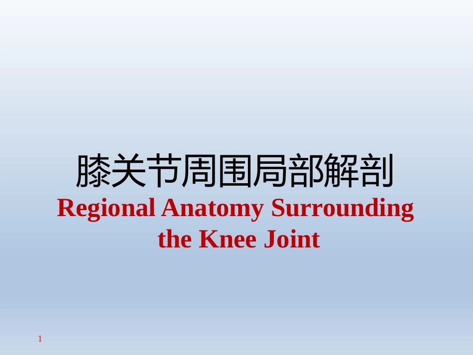 长海膝关 节周围解剖_第1页
