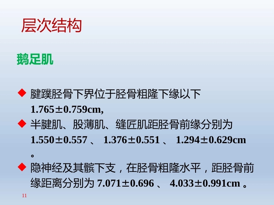 长海膝关 节周围解剖_第11页