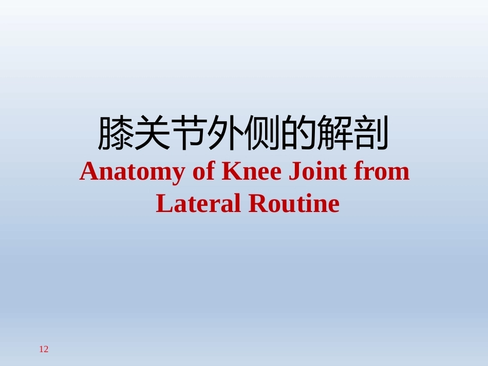 长海膝关 节周围解剖_第12页
