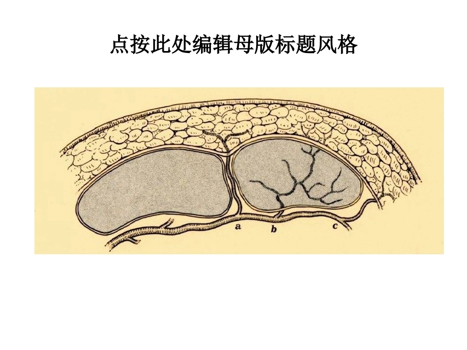 小腿穿支皮瓣的临床应用（新高压缩版）_第3页