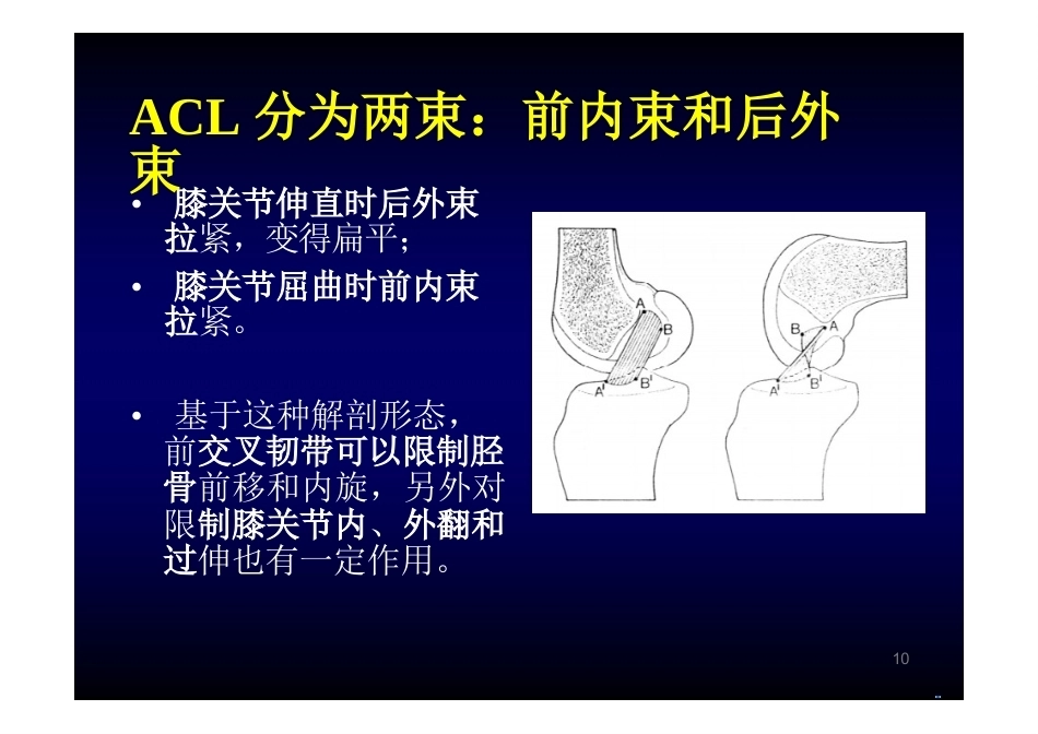 膝关节 解 剖_第10页