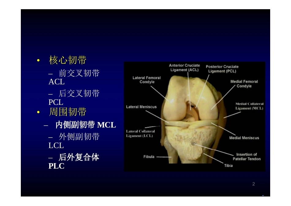 膝关节 解 剖_第2页