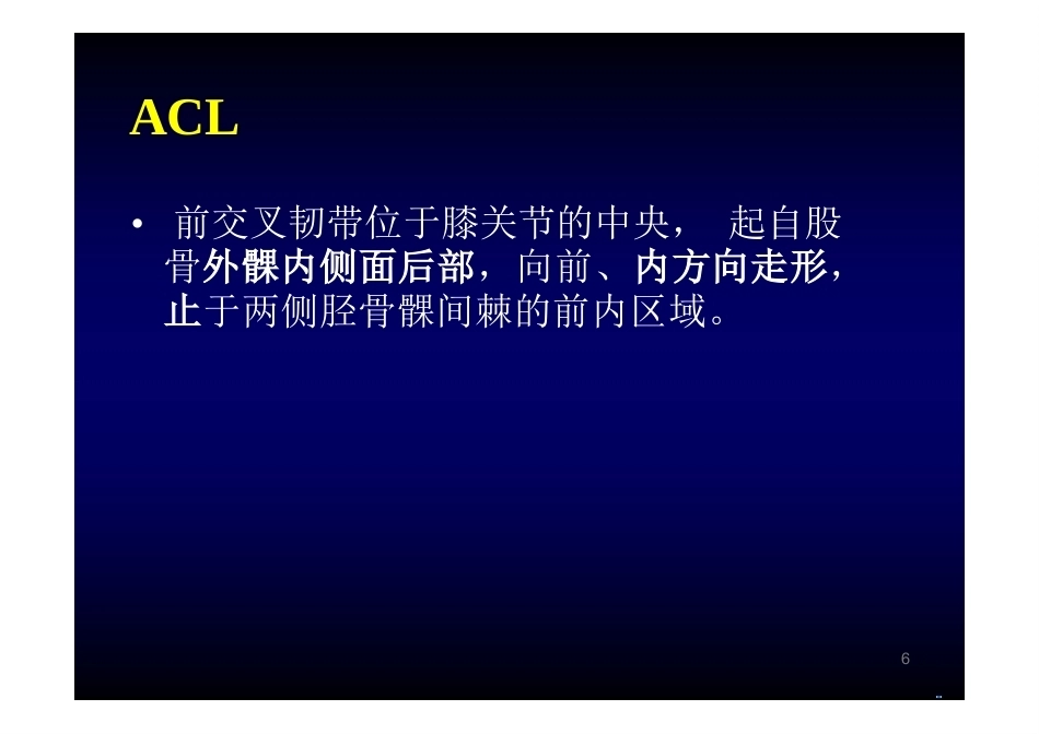 膝关节 解 剖_第6页