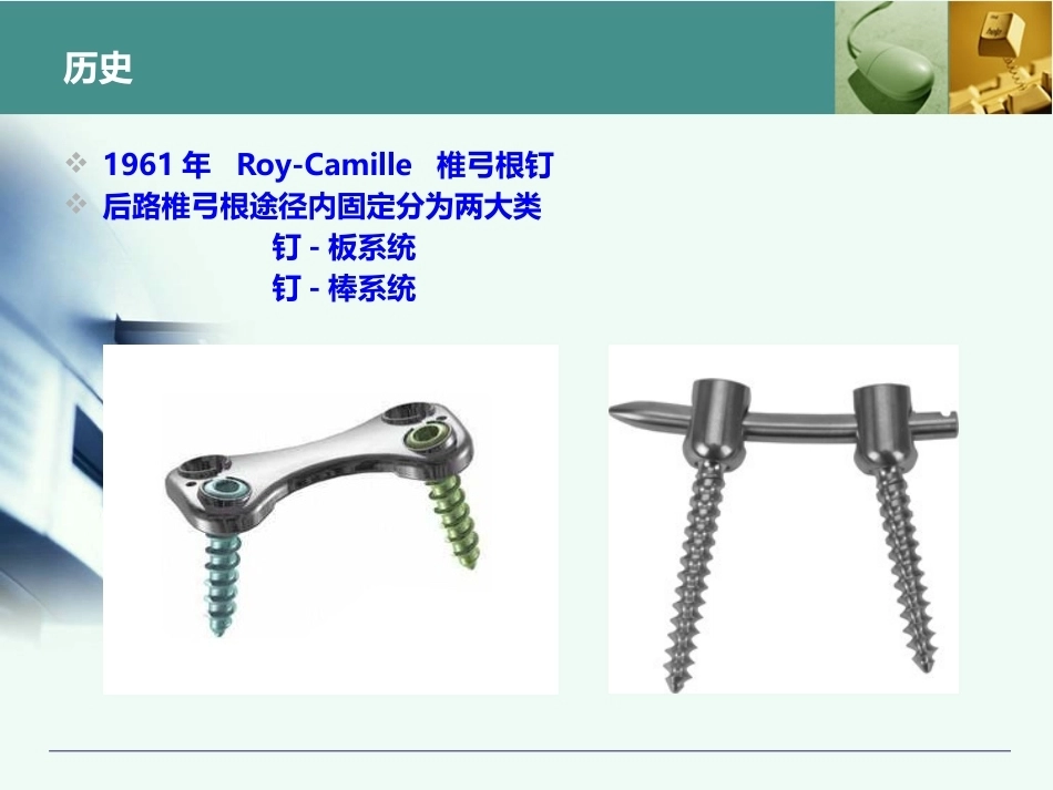 全胸腰椎椎弓根置钉技术_第2页