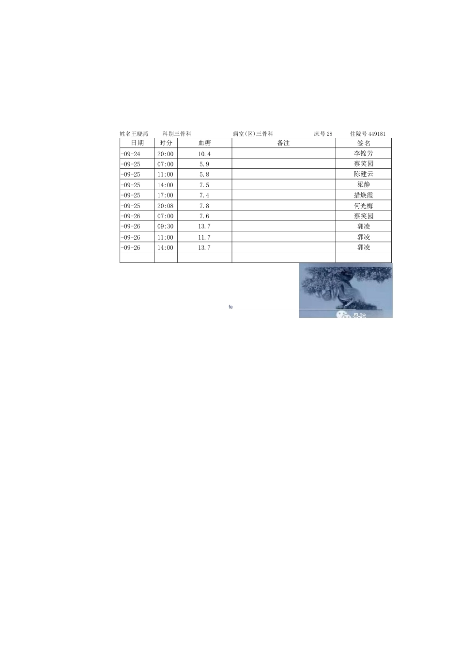全膝关节置换术的手术 流程和要点_第14页