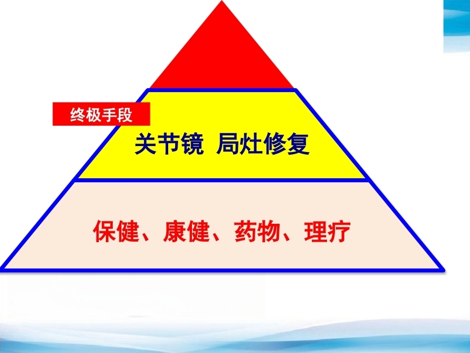 B UKA与TKA 如何选择？_第10页