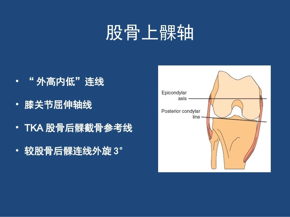 膝关节 解剖详细图解_第15页