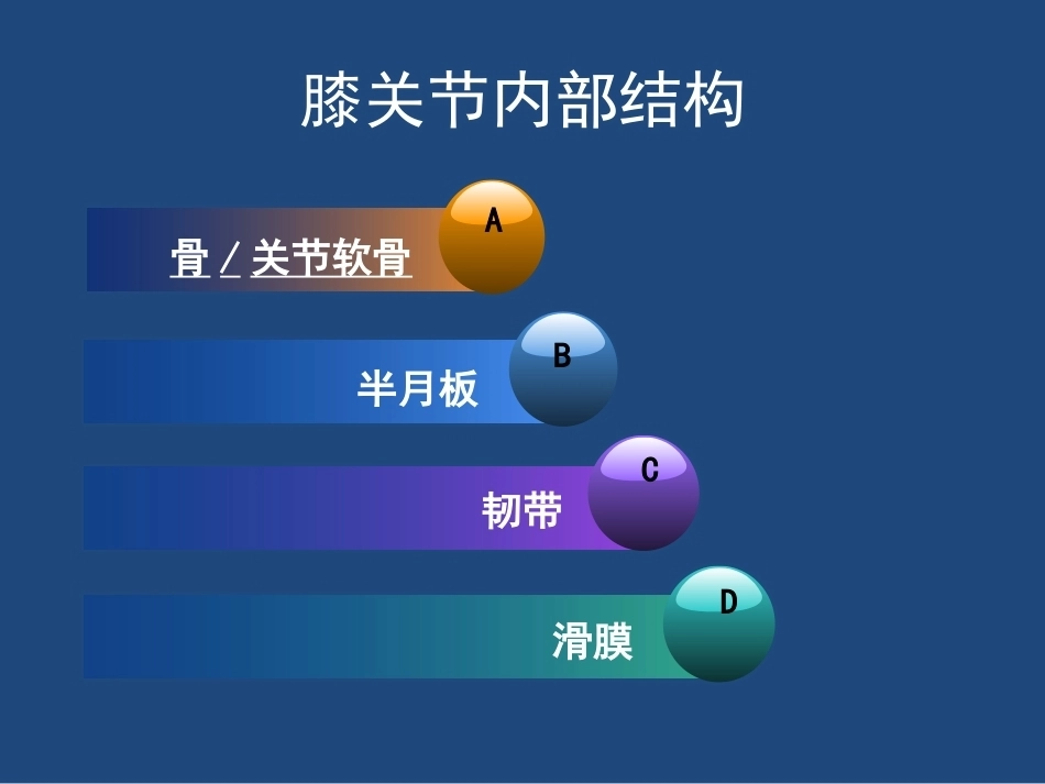 膝关节 解剖详细图解_第4页